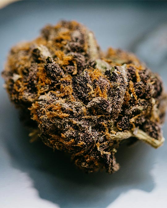 Buy Purple Sunset
