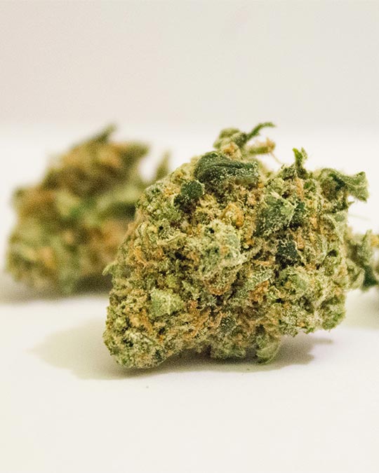 Buy Special Sauce CBD