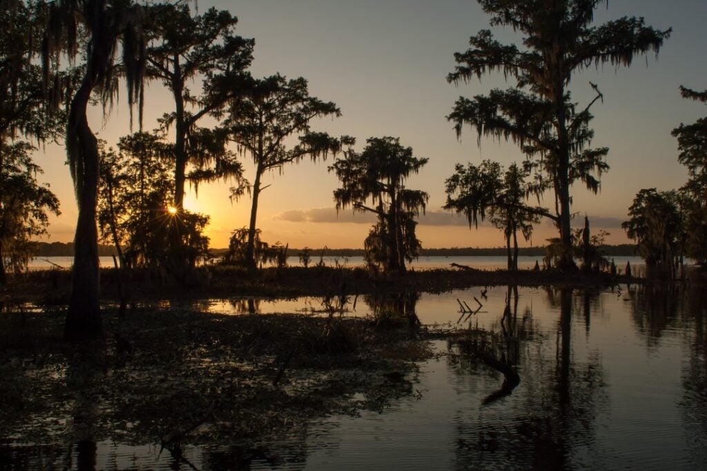 Louisiana Cannabis Laws