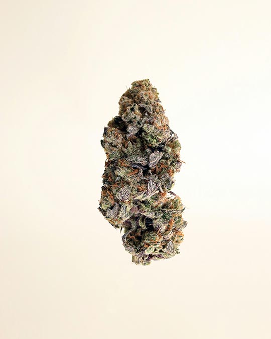 Buy Purple Gas