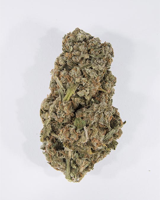 Buy Purple Skunk