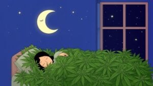 cartoon of the moon and a person sleeping in a bed made from cannabis leaves