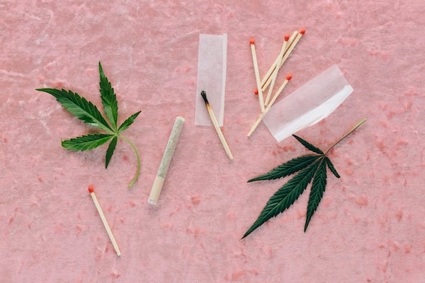 1990s Cannabis Strains: 10 Iconic Picks
