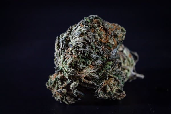 A high-resolution image of a dried bud containing cannabis terpenes.