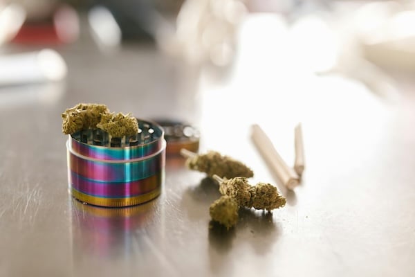 dried cannabis buds with multi-colored grinder