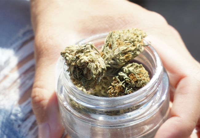 Cannabis buds stored in a jar