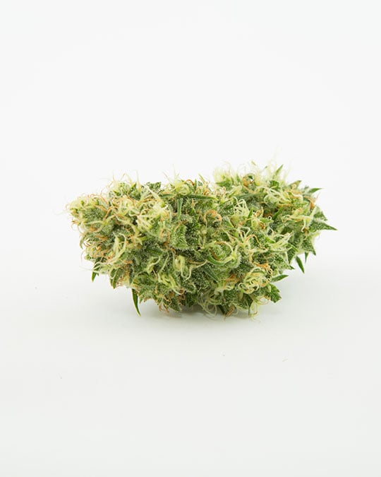 Buy Biker Kush