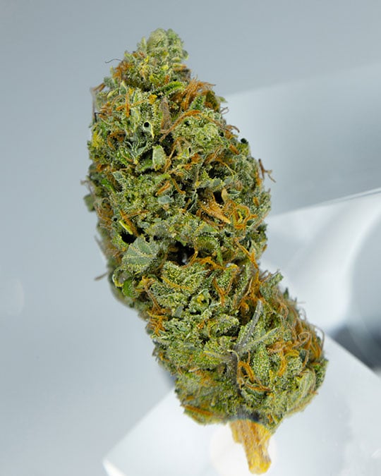 Buy Street Guru
