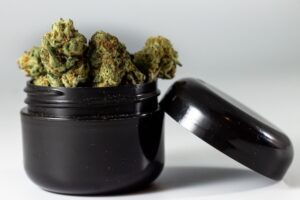 How long does weed stay in your system: Dried green cannabis buds in black tin