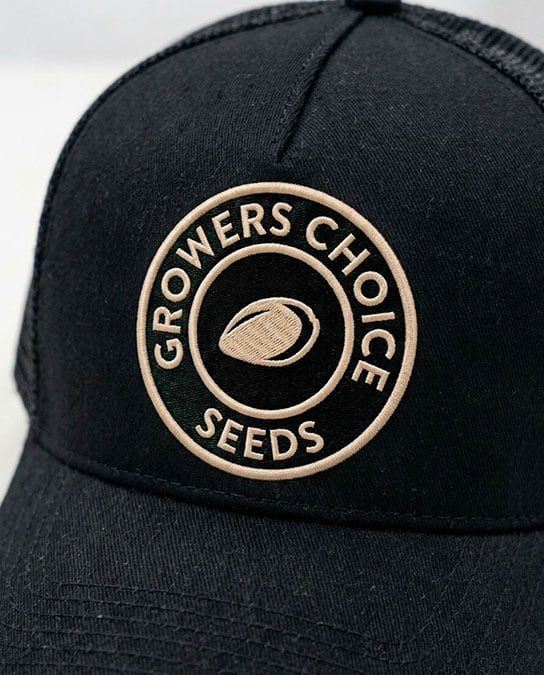 Buy Growers Choice 2026 Black Embroidered Trucker Cap